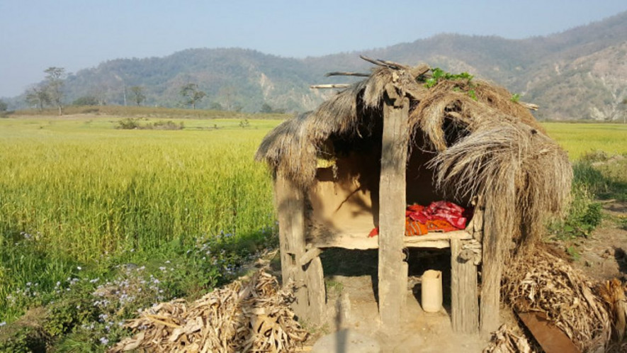 किन बस्छन् छाउगाेठ ?