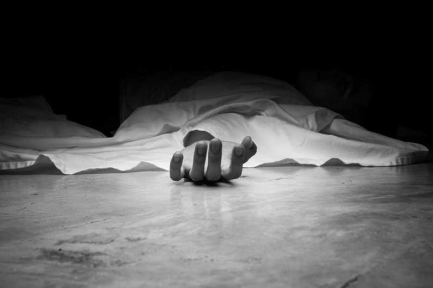 ट्रकको ठक्करबाट एक पैदलयात्रीको मृत्यु