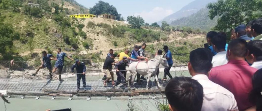 झोलुङ्गे पुलमा फसेका खच्चडको उद्धारमा खटिएका २ प्रहरी पुरस्कृत