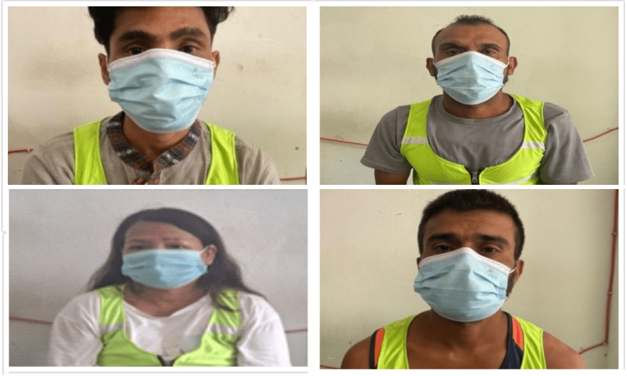 दमकमा  २ महिने  गर्भिणी गाई काटेको अभियोगमा चारजना पक्राउ